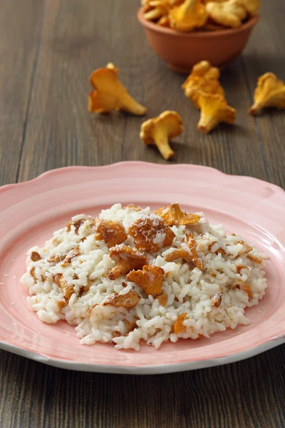 Riz aux champignons dans une assiette en céramique — Photo