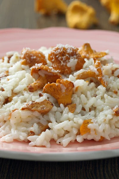 Rijst met champignons in keramische plaat — Stockfoto