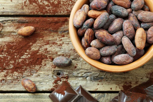 Cocoa beans, powder and chocolate — Stock Photo, Image