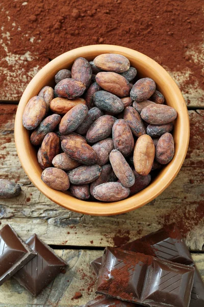Какао-бобы, порошок и шоколад — стоковое фото