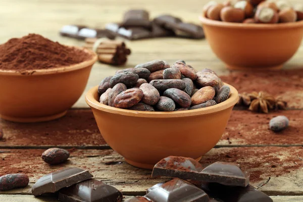 Какао-бобы, порошок, фундук и шоколад — стоковое фото