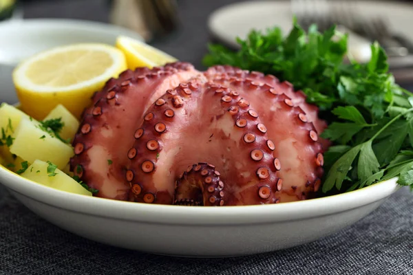 Boiled octopus ready to eat in ceramic bowl on kitchen table background — Stock Photo, Image