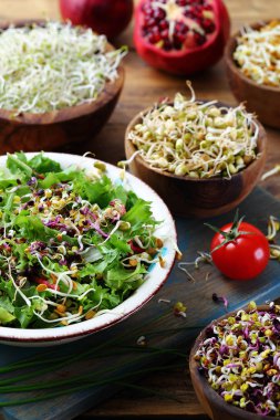 Sağlıklı yemek filizleri, vejetaryen salatası.