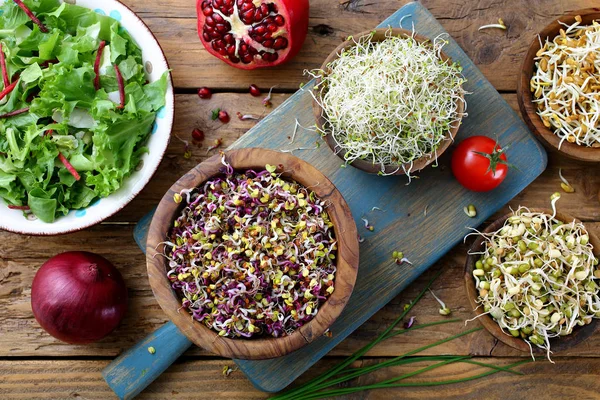 Brotos Alimentos Saudáveis Salada Vegetariana Com Brotos — Fotografia de Stock