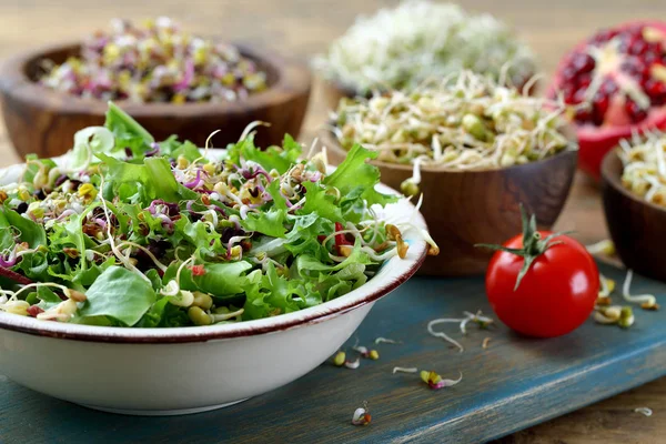 Здоровой Пищи Вегетарианский Салат Капустой — стоковое фото