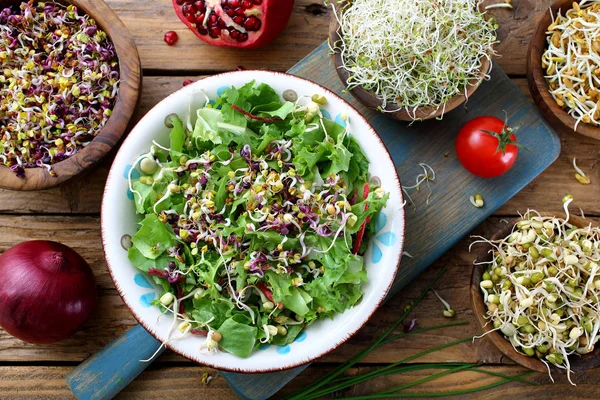 Brotos Alimentos Saudáveis Salada Vegetariana Com Brotos — Fotografia de Stock