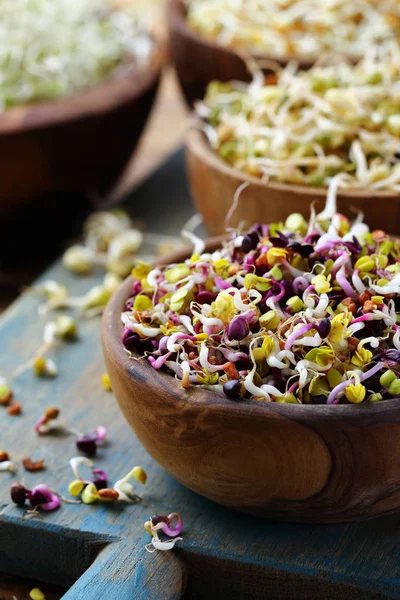 Friska Groddar Vegetarisk Sallad Med Groddar — Stockfoto