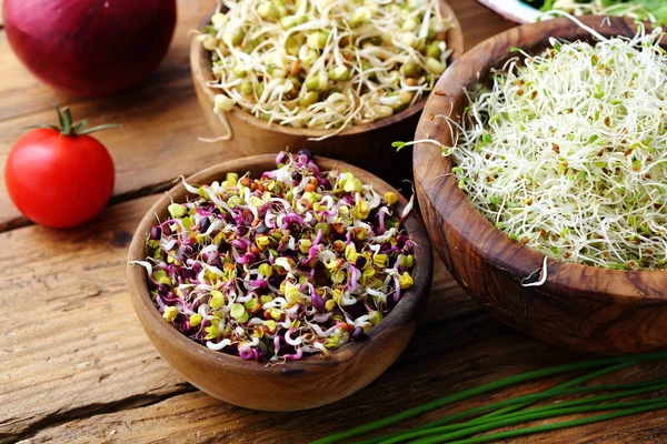 Germes Aliments Sains Salade Végétarienne Aux Germes Images De Stock Libres De Droits