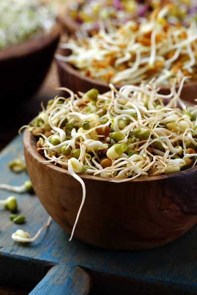 Friska Groddar Vegetarisk Sallad Med Groddar — Stockfoto