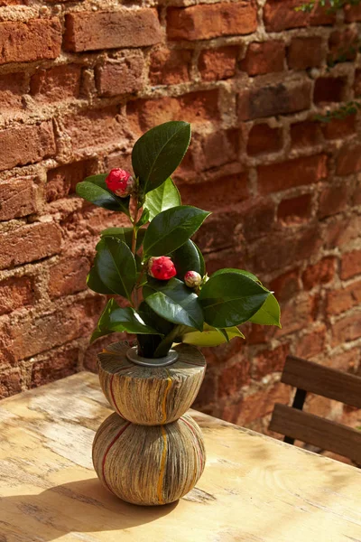 Vase from newspapers with camelia plant on a wooden table and wa — Stock Photo, Image