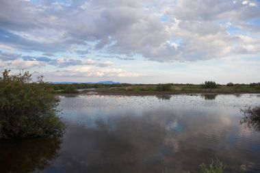 Güzel manzara. Meriç Nehri Yunanistan. 