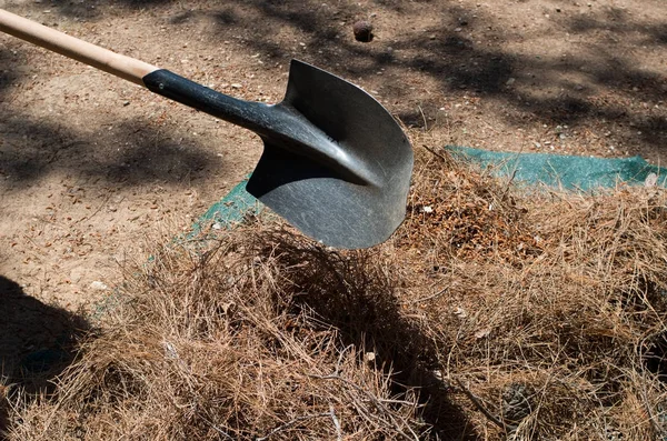 Лопата делает земляные работы . — стоковое фото