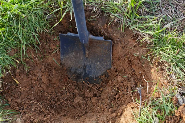 Лопата вырыла яму для посадки деревьев . — стоковое фото