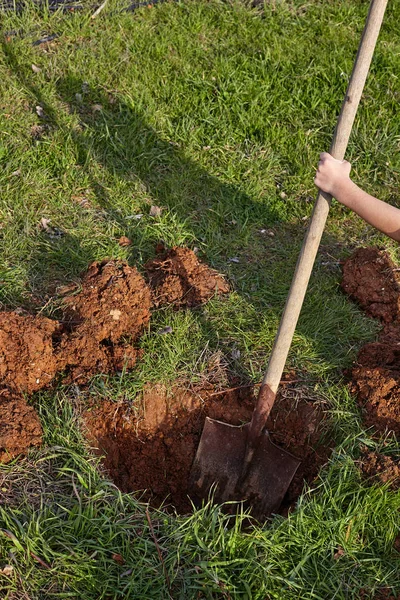 Il bambino scava con pala un buco per piantare alberi . — Foto Stock