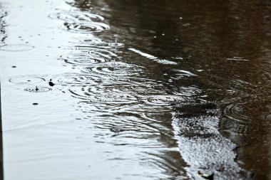 Yolda ağır yağmur damlaları.
