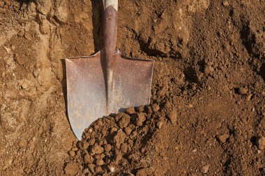 Toprak artalan üzerinde kürek. Bahçe. 