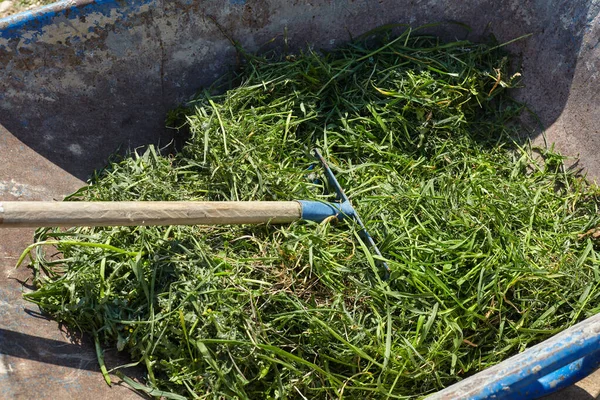 Otla tırmıkla. Bahçıvanlık.