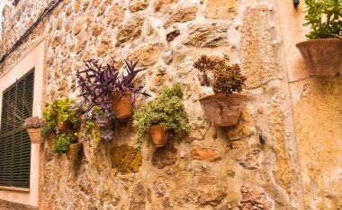 Duvar saksı çiçekleri. Valldemossa, İspanya