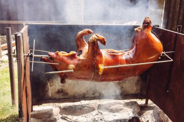 Bütün domuz ateşe kavurma