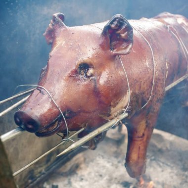 Bütün domuz açık ateş kavurma