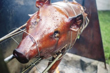 Bütün domuz açık ateş kavurma