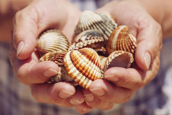 Hands full of sea shells