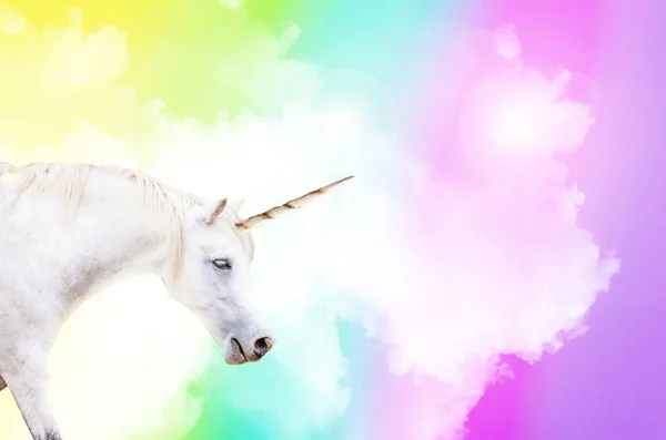 Unicorno in arcobaleno — Foto Stock