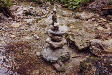 Zen taş vahşi doğada