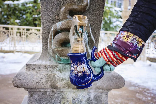 Hand Füllen Einer Tasse Mit Therapeutischem Mineralwasser Einer Natürlichen Heißen — Stockfoto