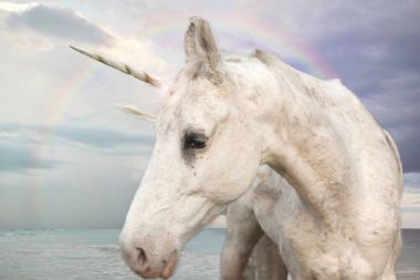 Foto gerçekçi gökkuşağı gökyüzü ile okyanus tarafından yürüyüş Unicorn