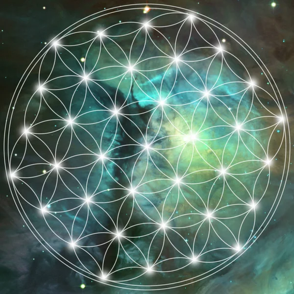 Kutsal geometri - çiçek spacy arka plan üzerinde yaşam
