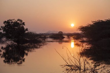 Hint savana günbatımı çalılar ve göl ile