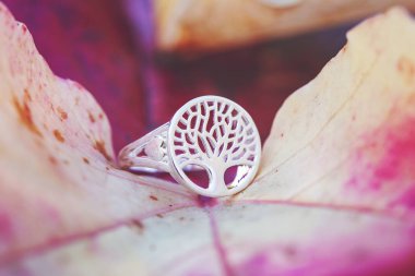 Sterling silver tree shape ring detail on natural Autumn background clipart
