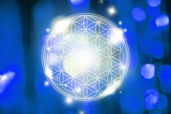Blue Cosmic Flower Life Sacred Geometry Background Bokeh Shape Glittering — Stock Photo, Image