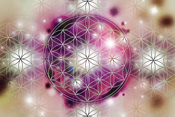 Flower of life sacred geometry pattern abstract background