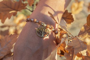 Sonbahar doğasında erkek el bileği Rudraksha labradorite mineral taş boncuklar ve metal bakır bilezik