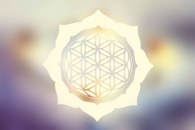 Flower of life tender color mandala in lotus abstract art