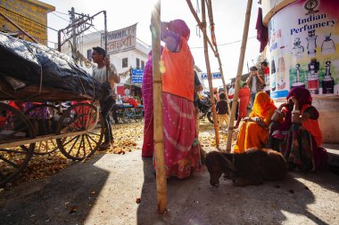 Puşkar, Hindistan, Rajasthan, 13 Şubat 2018: Hintli kadınlar Pushkar caddesini şenlikli çiçeklerden temizliyor