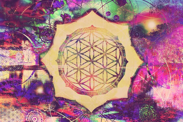 Blume Des Lebens Heilige Geometrie Mandala Abstrakte Spirituelle Kunst — Stockfoto