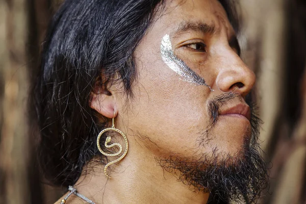 Портрет Американского Индейца Естественной Среде — стоковое фото