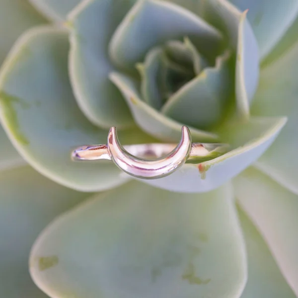 Sterling silver ring in the shape of the moon placed in houseleek