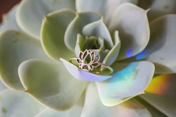 Sterling Sølv Ring Form Lotus Placeret Houseleek - Stock-foto