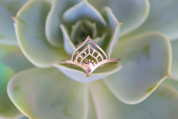 Sterling silver ring in decorative shape placed in houseleek