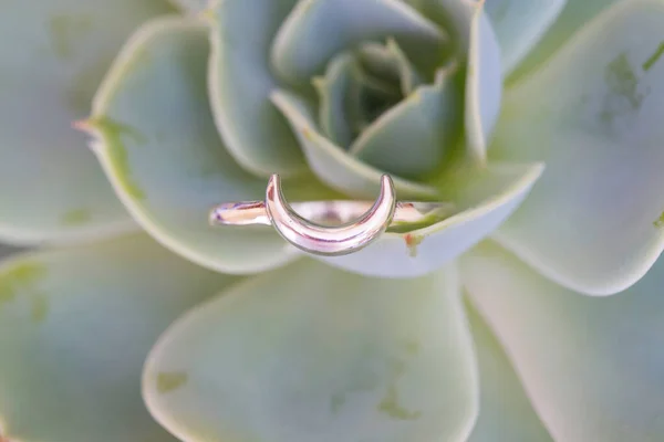 Bague Argent Sterling Forme Lune Placée Dans Houseleek — Photo