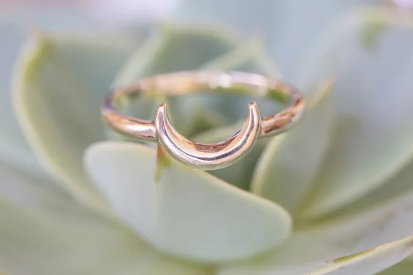 Bague Argent Sterling Forme Lune Placée Dans Houseleek — Photo