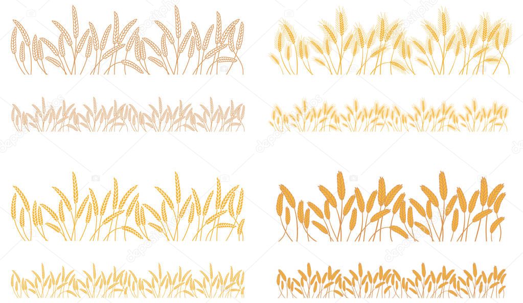 Strips waving ears of cereals plants
