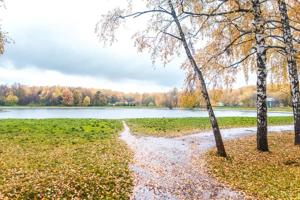 Kuskovo Moskova'da parkta gölet için bir yol