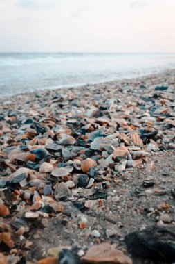 Kabuk yatak Ocean Isle Beach plaj