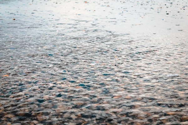 Muscheln Werden Den Ozean Gezogen — Stockfoto