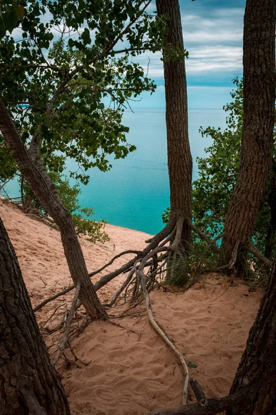 Una Foto Del Lago Michigan Tra Gli Alberi Cima Alle — Foto Stock
